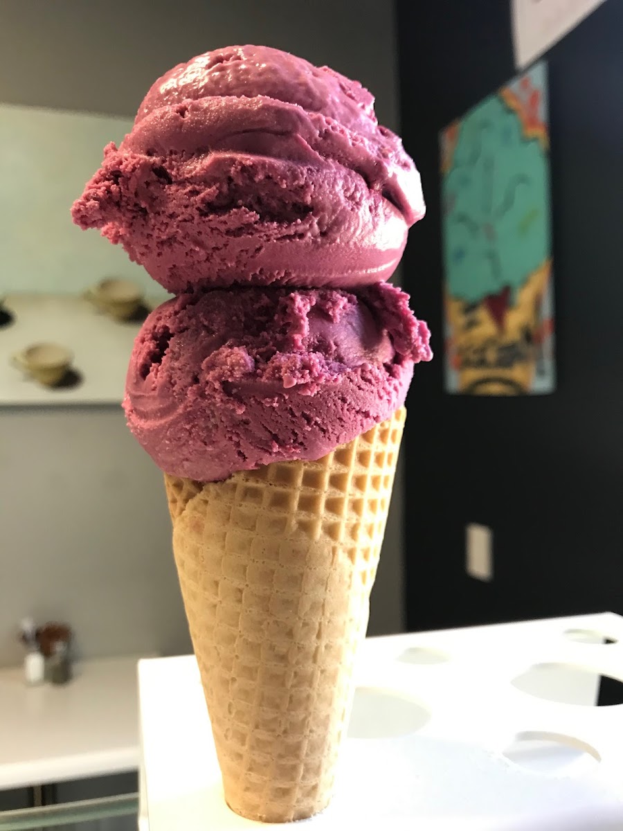 L'escargot Rouge Photos 2